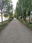 1683790481130