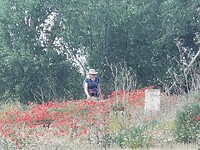 IMG_20230514_115335
