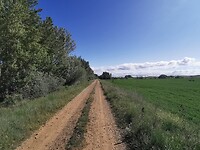 1684054066977