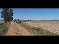 Camino de Madrid Dag 18 Santervas de Campos naar Sahagún /2