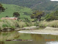Cannibal Bay