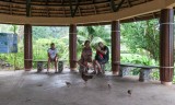 in de watertuin op Tahiti