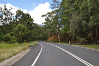 New England National Park (2)