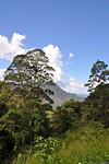 New England National Park