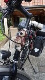 Knuffel gaat ook mee