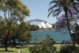 Operahouse en Harbour bridge