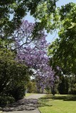 park in Sydney