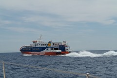 Fast Ferry