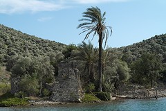 Tersane