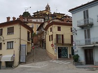 Monforte Albe