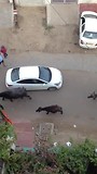 Hotelstaat Varanasi