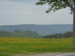 Direkt starten met de Eifel