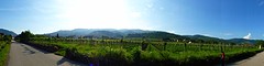 Panorama wijnstreek Wachau!