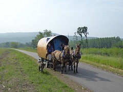 Zot koppel (duits/frans) al 2 jaar onderweg met paard en kar!