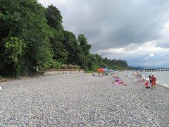 Mooie stranden met zotte begroeiing!