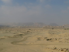 Soort desert