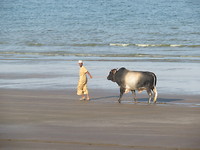 Plaatselijke boer