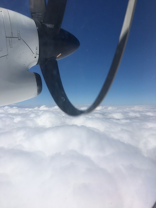 3D44AE36-45D2-46E0-8F2D-BA259510F39F