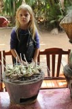 De kippenspiesjes van Marie