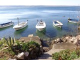 Starigrad, vissersbootjes