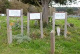 Sinop, oude graven in Akliman