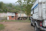 Artvin, schapen bij het kotje