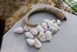 Gevonden op het strand