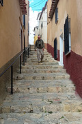 Chinchilla del Monte Aragon, Frank in een steil straatje