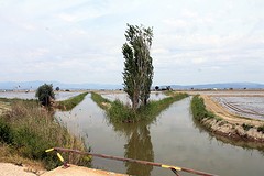 Ebro Delta (1)