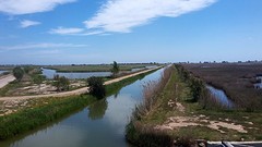 Ebro Delta (2)