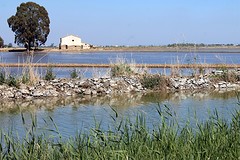 Ebro Delta (4)