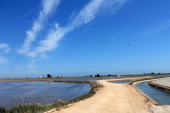 Ebro Delta (6)