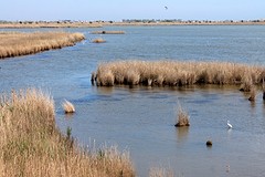 Ebro Delta