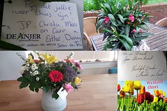 Zuidlaren, een warm onthaal!