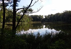 Bad Belzig, meertje in het park