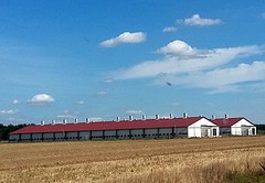 Onderweg, gemoderniseerde staatsboerderijen