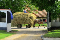 Biser, paard en wagen met hooi voor de deur