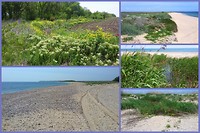 Durankulak, mooie wandeling langs de zee in een natuurgebied
