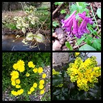 IMG_2018-04-07_20-02-39