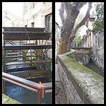Avignon, de schoepen