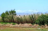 Motril, met in de verte de besneeuwde toppen van de sierra nevada