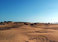 Essaouira dromedarissen op het strand