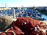 Essaouira, bij de haven