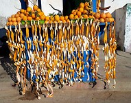 Essaouira, sinasappelschil