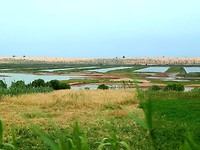 Onderweg, landbouw achter de duinen