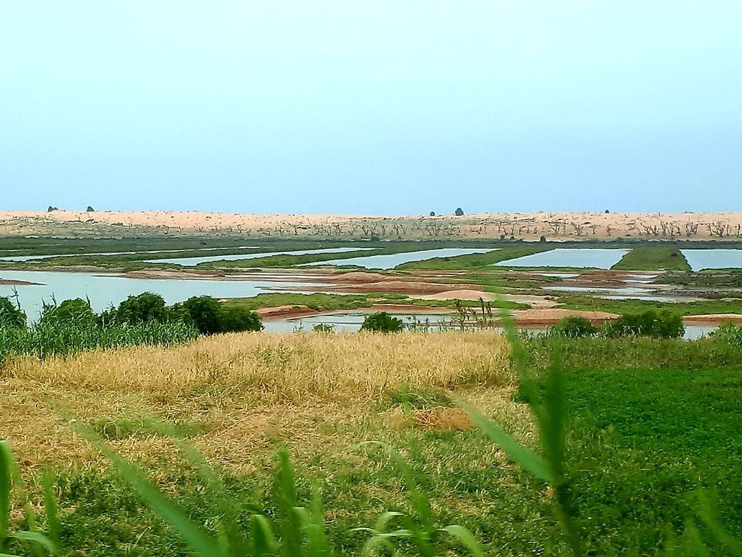 Onderweg, landbouw achter de duinen