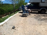 Azrou, bezoek van schildpad