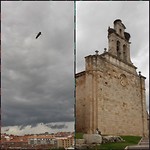 Zamora, kerk met ooievaars