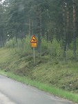 Onderweg, waarschuwing overstekende elanden