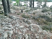 Hornos bemoste stenen